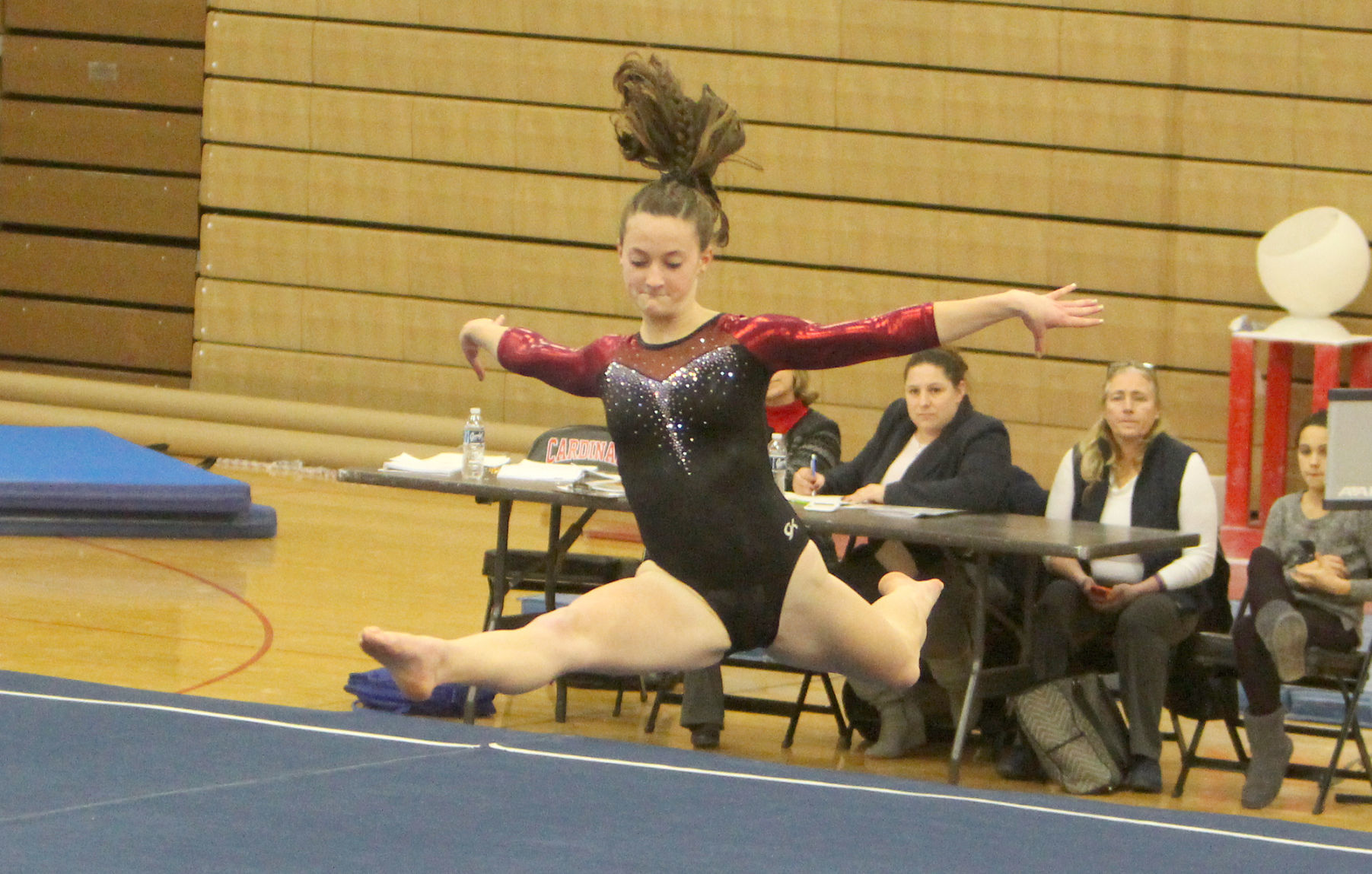 Chi-Hi Gymnastics Triangular 1-17-19